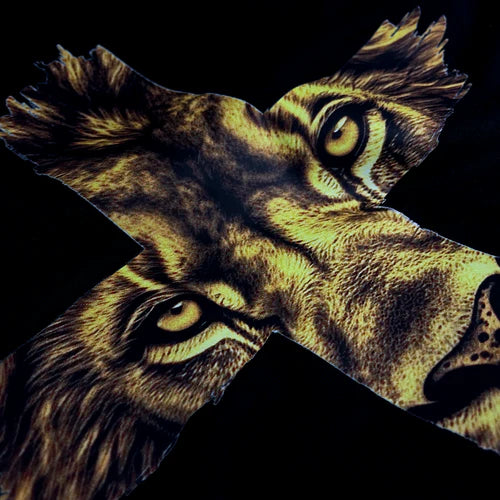 Camiseta Masculina Cruz Leon #color_negra